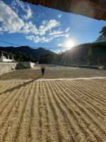 Specialty Coffee, Parchment Coffee