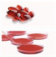 krill oil, krill meal, krill oil softgel