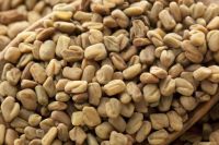 Fenugreek Seeds