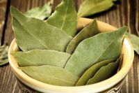 Guava leaves