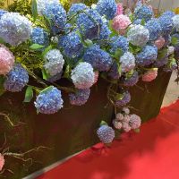 Big artificial silk hydrangea stem 216 flower heads