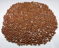 Class I Natural Hazelnut Kernels (13-15mm) From Georgia