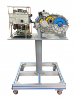 Drive Motor and 3-in-1 Controller Anatomy Display stand (BYD)