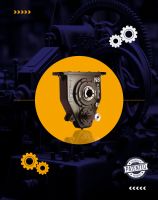 SMSR Gearbox, Conveyor Gearbox  From India