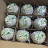 Fresh Young Coconut
