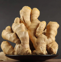 Fresh ginger crop 2023 new crop color yellow flavor spicy top quality