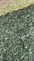 Raspberry leaf tea contains rich protein, crude fat, crude fiber and  amino acids, contains vitamins and mineral elements,has a certain health care role