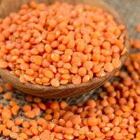 Red Lentils Masoor Split Dal ,Lentils