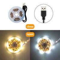 Kinyu LED Strip 5V Warm White 12Led/m Flexible LED Tape for Home DIY