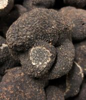 Black Truffles