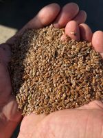  Flax Seeds Export-Quality &acirc; Wholesale Supplier Worldwide