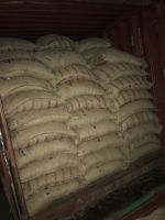 Arabica Coffee