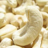 Cashew Nuts/ Cashew Nut Size W180 W240 W320 W450/ Certified WW320 Dried Cashew From South Africa