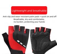 Men's MTB Half-Finger Gloves - Anti-Slip & Breathable