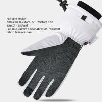 Kevlar Ski Gloves  Men &amp; Women, Touchscreen, Waterproof, Warm for Snowboarding &amp; Mountaineering AL10125