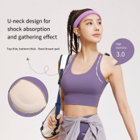 Women's High-Impact Sports