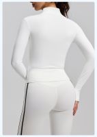 Striped Sports Jacket - Slim-Fit Stand