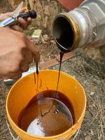 molasses from sugar mills or sugar cane or refined sugar