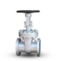 wedge gate valve From China