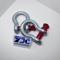 Screw Pin Anchor Shackle U. S. Type