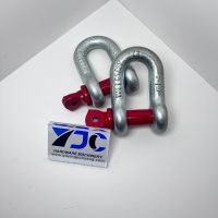 Screw Pin Chain Shackle U. S. Type