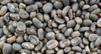 Arabica Mandheling coffee beans