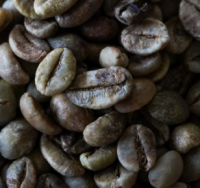 Robusta grade 3 coffee beans