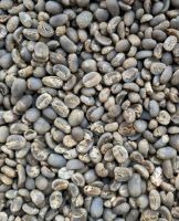 Arabica Lintong Coffee Beans