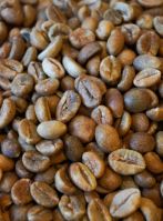 Robusta coffee beans