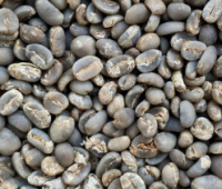 Arabica Lintong Coffee Beans