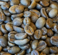 Arabica Honey Coffee Beans