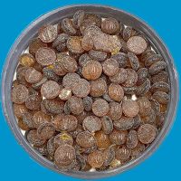 antioxidant TMQ