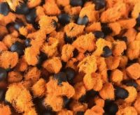 Strelitzia Reginae Seeds, Strelitzia Nicolai
