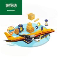 Fast Delivery DHL UPS DAP Best International Air Express Service From China to Saudi Arabia&#039;s Fedex LCL Transportation Service
