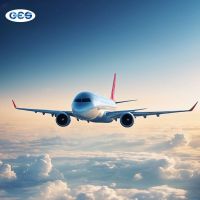 China Freight Forwarder Fedex Logistics Services