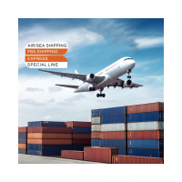 China Freight Forwarder Fedex Logistics Services