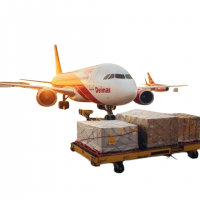 DHL UPS Forwarder China To Canada
