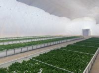 Air Inflated Membrane Agricultural Greenhouse Pneumatic Membrane Structure Inflatable Structure Building