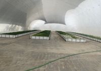 Global Service Air inflatable membrane agricultural greenhoues large commercial greenhouses  From China