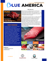 Fresh and Frozen Tuna