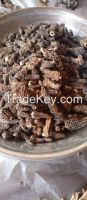 Dried wild morel mushrooms