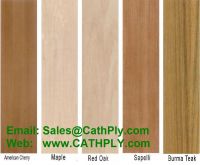 Teak, Sepeli, Oak, Beech, Cherry, Ash, Oak Fancy Plywood