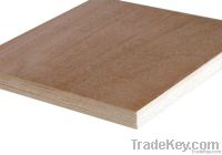 Poplar core plywood