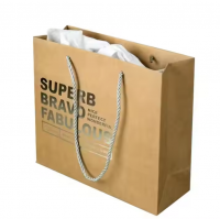 Wholesale Custom Printed Paper Gift Bags with Handles for Retail Packaging