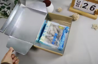 Custom Logo Personalised Thermal Insulated Paper Box Aircraft Boxes with Aluminum Foil From China