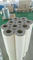 CAA-38 coalescer filter element for Pharmaceutical manufacturing From China