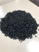 Black Beans