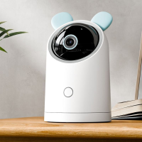 Dual-Stream HD Remote Intercom Camera