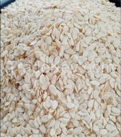 Melon Seed