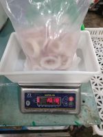 Good Quality Indian Ocean Squid Ring Cooked with Skin Squid Ring